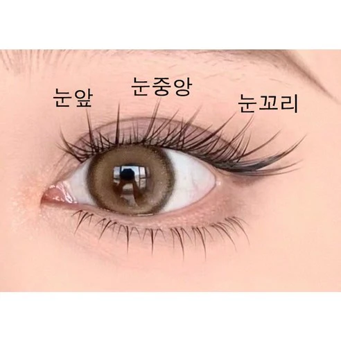 AMILIM No Glue Cluster Eyelashes Reusable Bulk 애미림 노글루 가닥손눈썹 여우디자인 대용량 재사용 가능 - Image 3