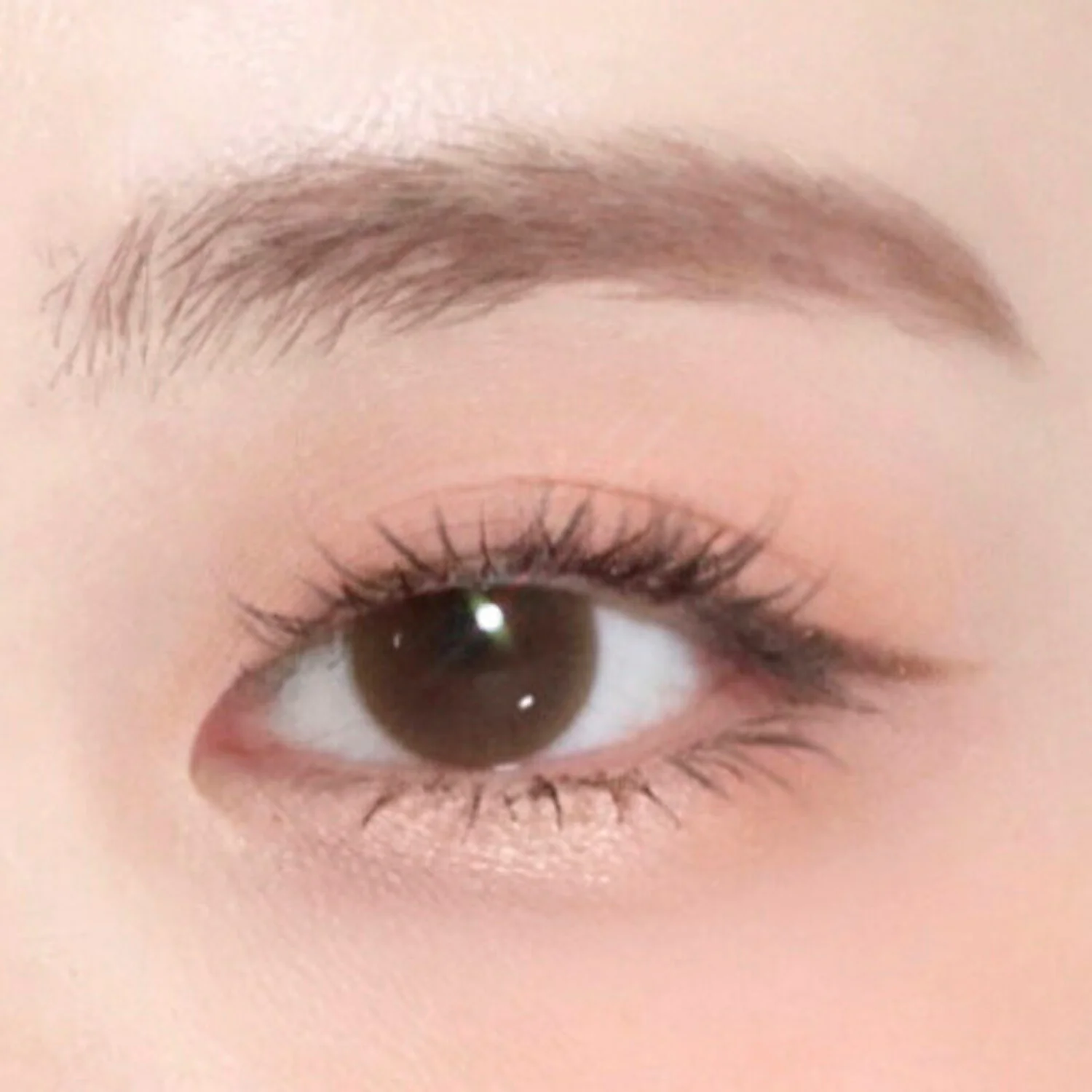 ***CLEARANCE COLORGRAM Pin Point Eyeshadow Palette 컬러그램 눈토리얼 아이 팔레트 - Image 4