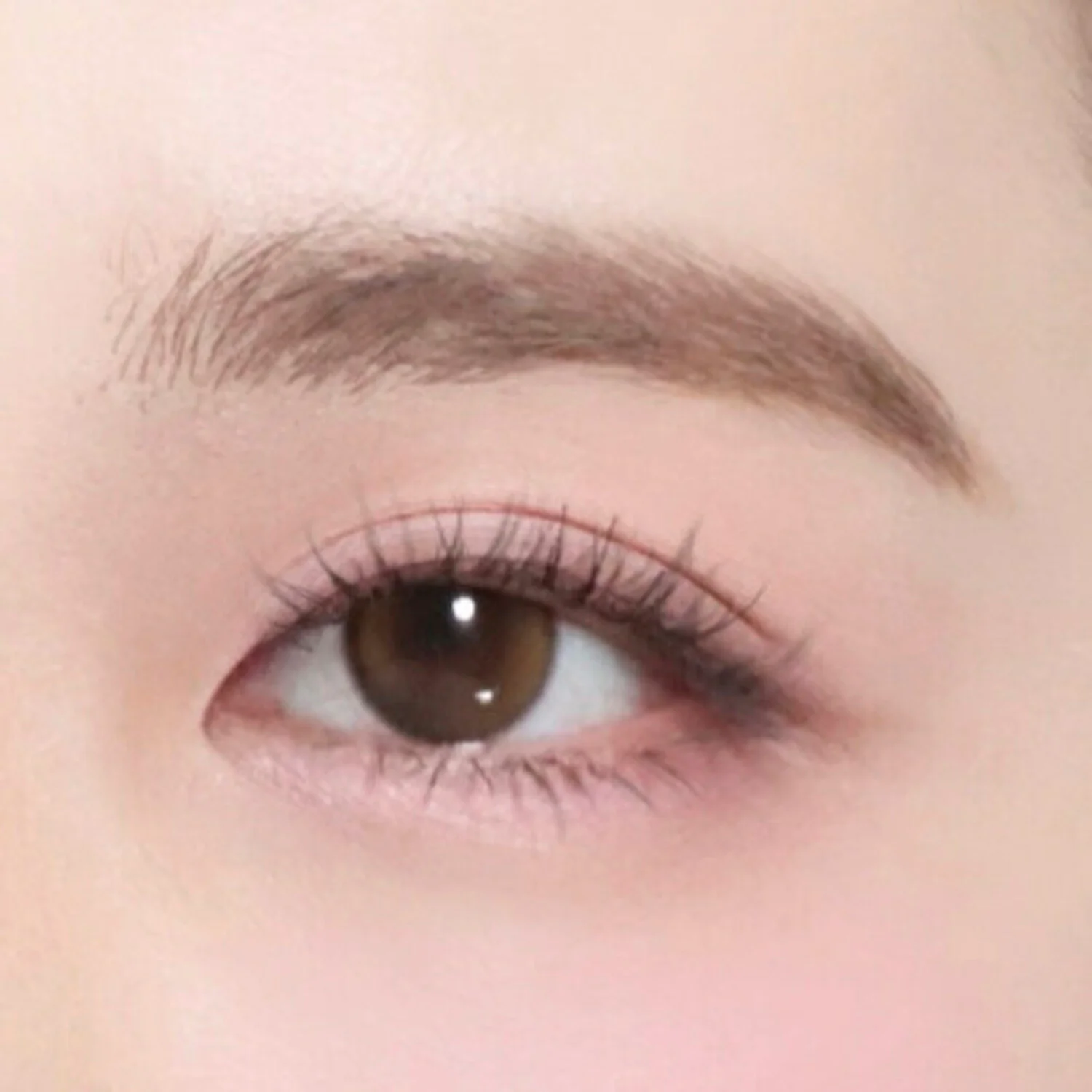 ***CLEARANCE COLORGRAM Pin Point Eyeshadow Palette 컬러그램 눈토리얼 아이 팔레트 - Image 6