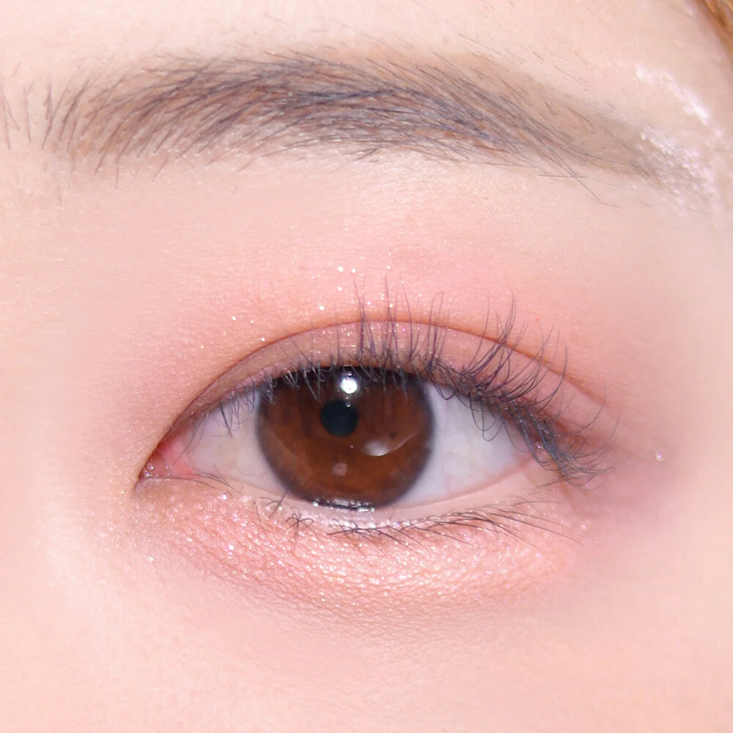 ***CLEARANCE COLORGRAM Pin Point Eyeshadow Palette 컬러그램 눈토리얼 아이 팔레트 - Image 8