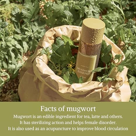 I'M FROM MUGWORT ESSENCE 160ml 5.41fl.oz. 아임프롬 머그워트 에센스 160ml 5.41fl.oz. - Image 3