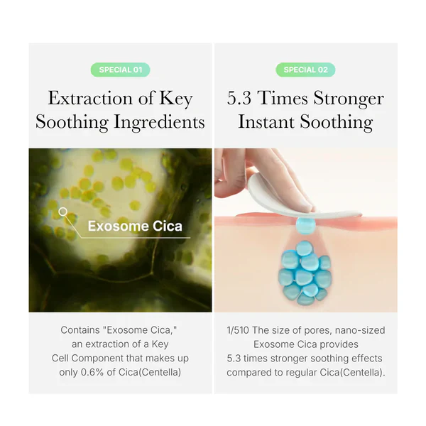 Medicube Exosome Cica Calming Toner Pad 100Pads Low-Irritating Daily Texture Care 메디큐브 엑소좀 시카 요철 진정패드 100패드 - Image 8