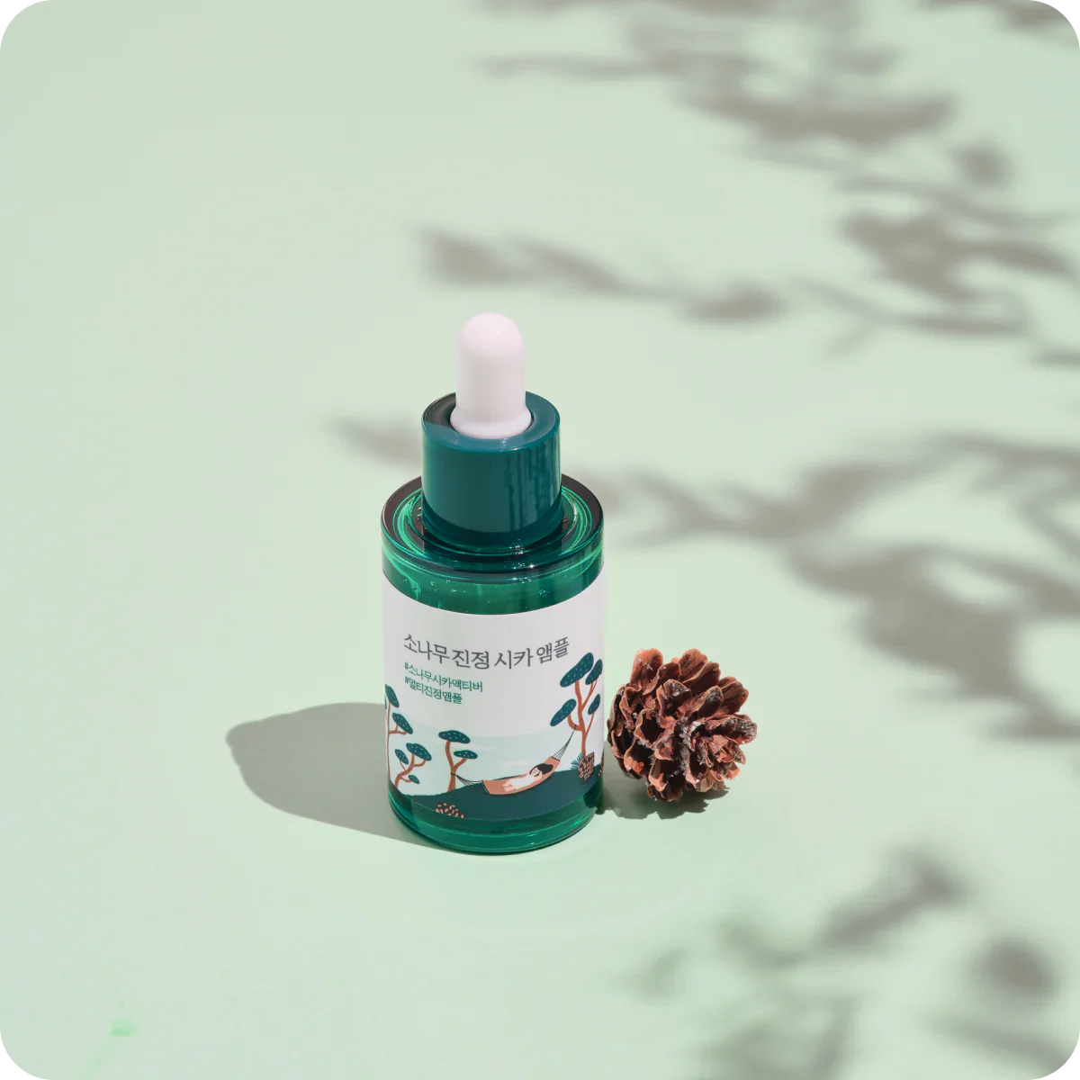 Round Lab Pine Calming Cica Ampoule 30ml 라운드랩 소나무 진정 시카 앰플 30ml - Image 2